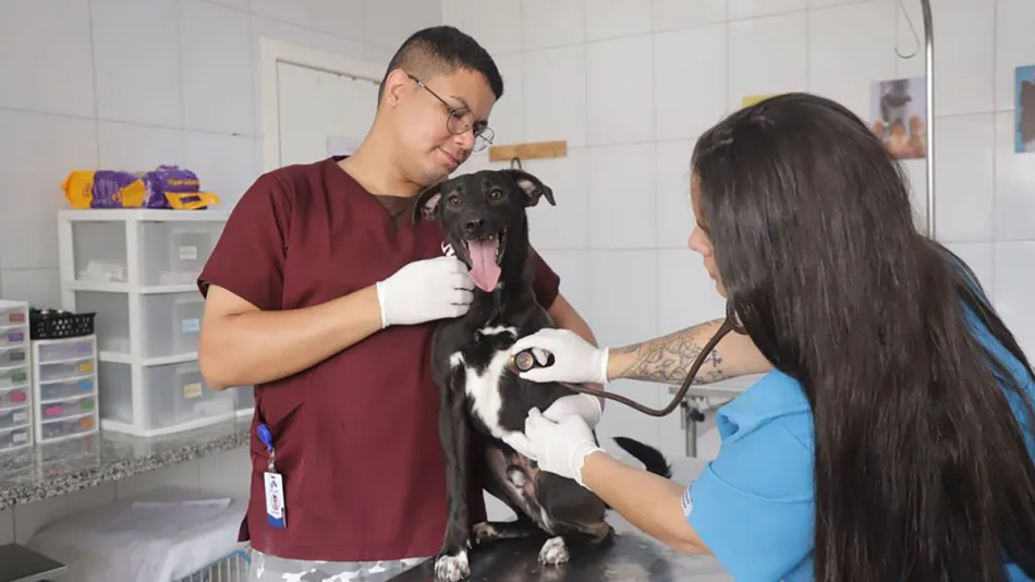 Beto Piteri destaca expansão do Programa Saúde Animal para todos os bairros de Barueri